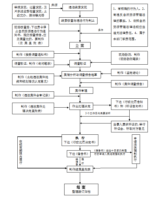 依法查处自然资源重大违法案件流程图